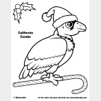 Santa California Condor Christmas Coloring Page
