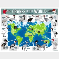 Cranes of the World Map