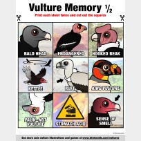 Vulture Memory