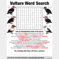 Vulture Word Search