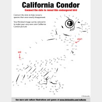 California Condor Connect the Dots