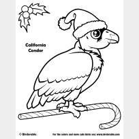 Santa California Condor Christmas Coloring Page