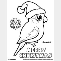 Santa Cockatiel Merry Christmas Coloring Page