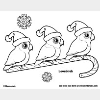 Santa Lovebirds Christmas Coloring Page