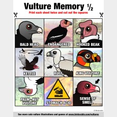 Vulture Memory