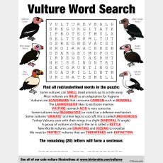 Vulture Word Search