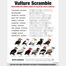 Vulture Name Scramble
