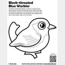 Black-throated Blue Warbler Coloring Page