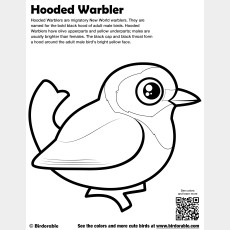Hooded Warbler Coloring Page