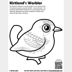 Kirtland's Warbler Coloring Page
