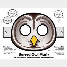 Halloween Barred Owl Mask