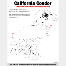 California Condor Connect the Dots