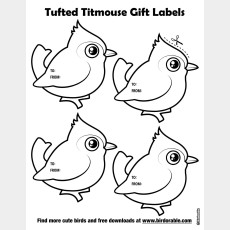 Tufted Titmouse Gift Labels