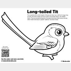 Long-tailed Tit Coloring Page