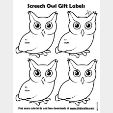Screech Owl Gift Labels
