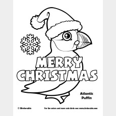 Christmas Atlantic Puffin Coloring Page