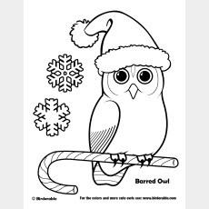 Christmas Barred Owl Coloring Page