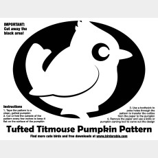 Tufted Titmouse Pumpkin Pattern