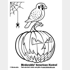 Halloween American Kestrel Coloring Page