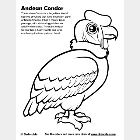 Cute Coloring Pages by Birdorable - Free Downloads