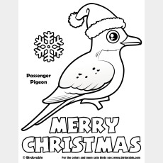 Santa Passenger Pigeon Christmas Coloring Page