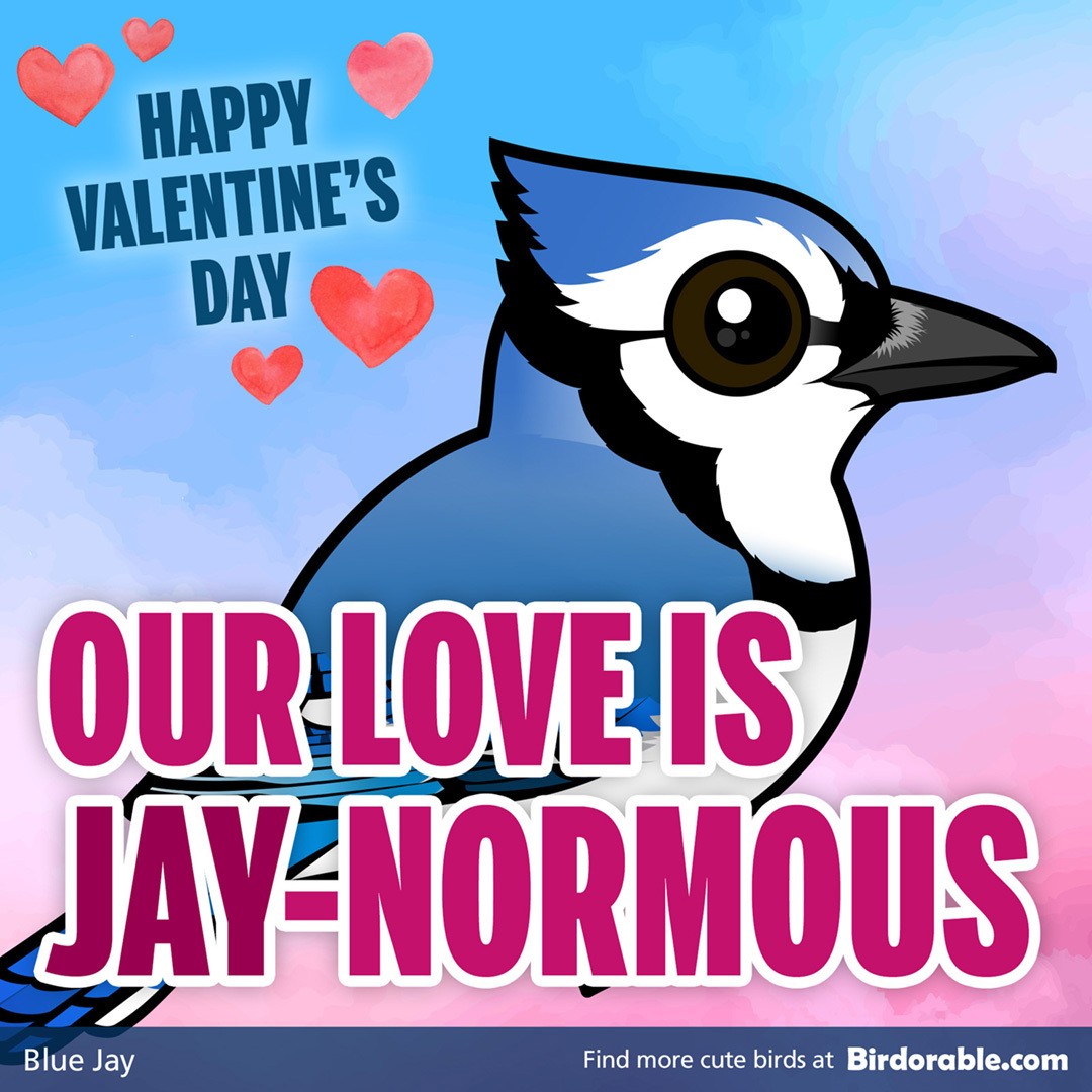 Valentine's Day "Our Love is Jay-normous" Shareable Graphic