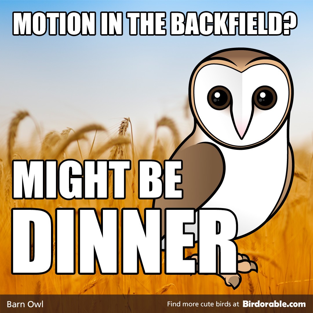 Superb Owl "Motion in the Backfield" Shareable Graphic