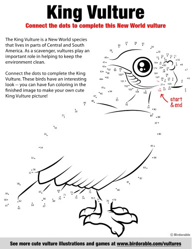 King Vulture Connect the Dots