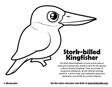 Stork-billed Kingfisher Coloring Page