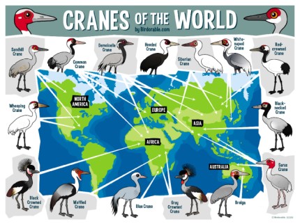 Cranes of the World Map