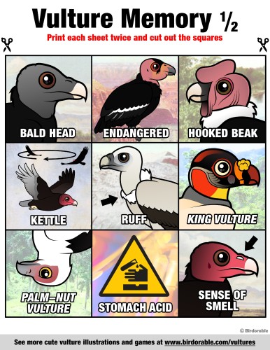Vulture Memory