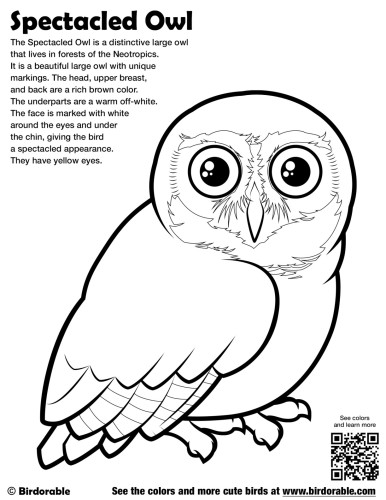 Spectacled Owl Coloring Page