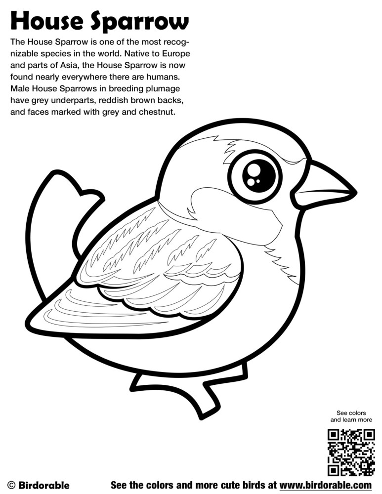 House Sparrow Coloring Page by Birdorable