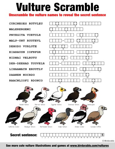 Vulture Name Scramble