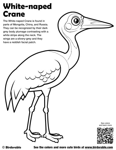 White-naped Crane Coloring Page