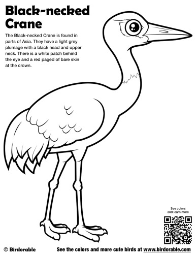 Black-necked Crane Coloring Page