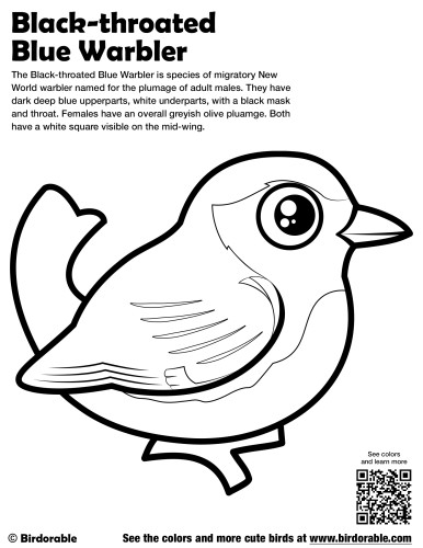 Black-throated Blue Warbler Coloring Page