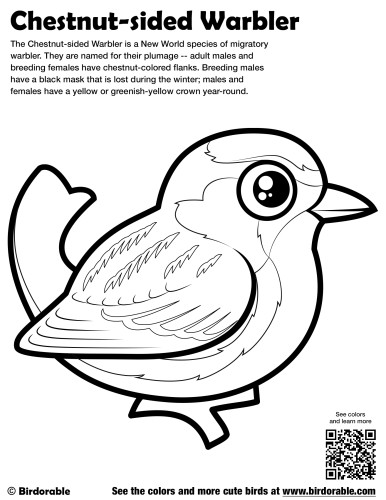 Chestnut-sided Warbler Coloring Page