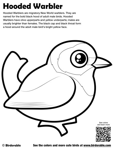 Hooded Warbler Coloring Page