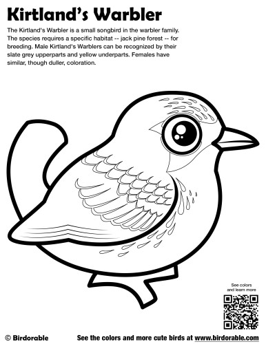 Kirtland's Warbler Coloring Page