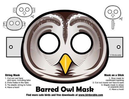 Halloween Barred Owl Mask