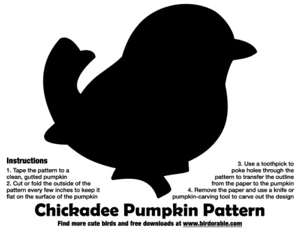 Chickadee Pumpkin Pattern