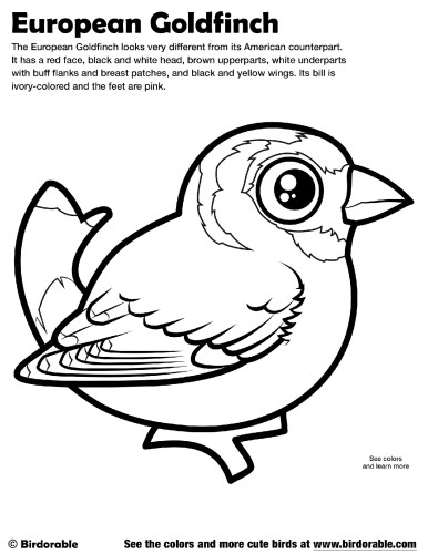European Goldfinch Coloring Page