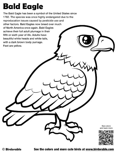 Eagle Coloring Pages