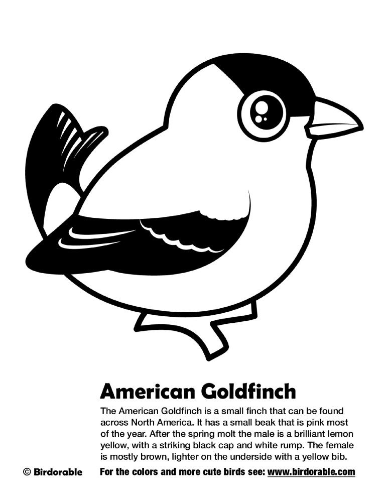 American Goldfinch Coloring Page by Birdorable