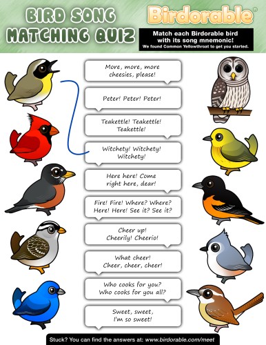 Bird Song Quiz