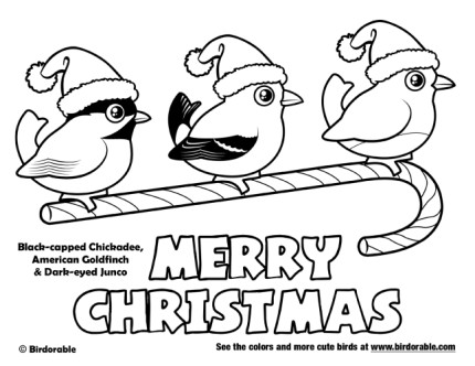 Christmas American Backyard Birds Coloring Page