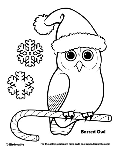 Christmas Barred Owl Coloring Page
