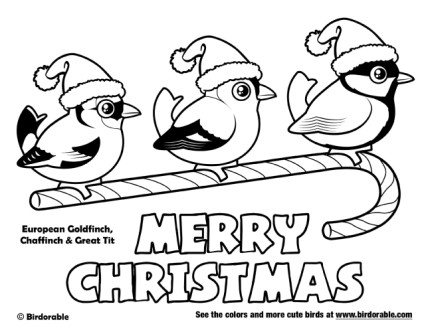 Christmas European Backyard Birds Coloring Page