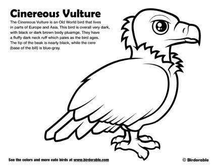 Cinereous Vulture Coloring Page